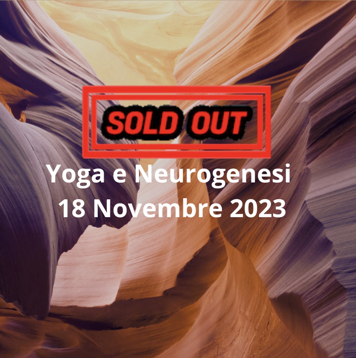 Neurogenesi