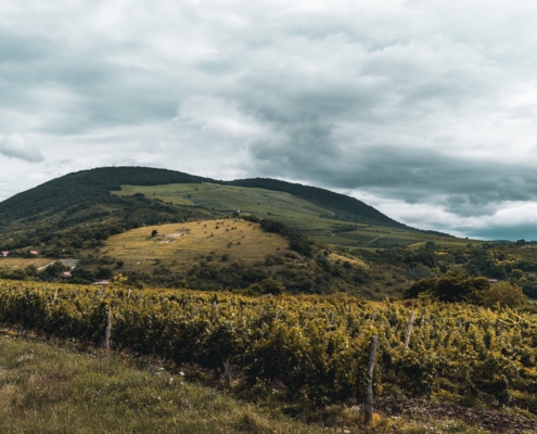 Cantina Cobue Pozzolengo