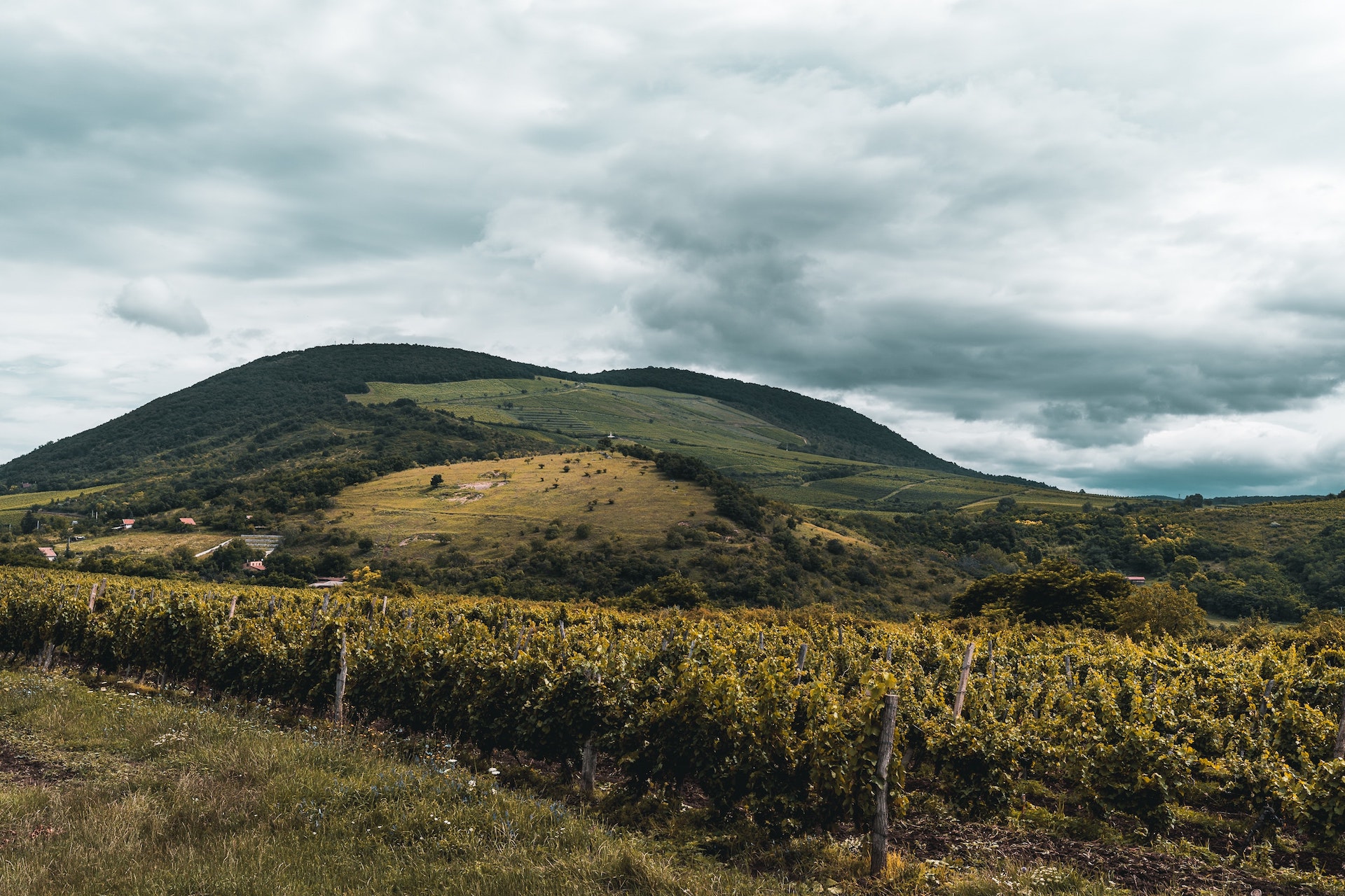 Cantina Cobue Pozzolengo